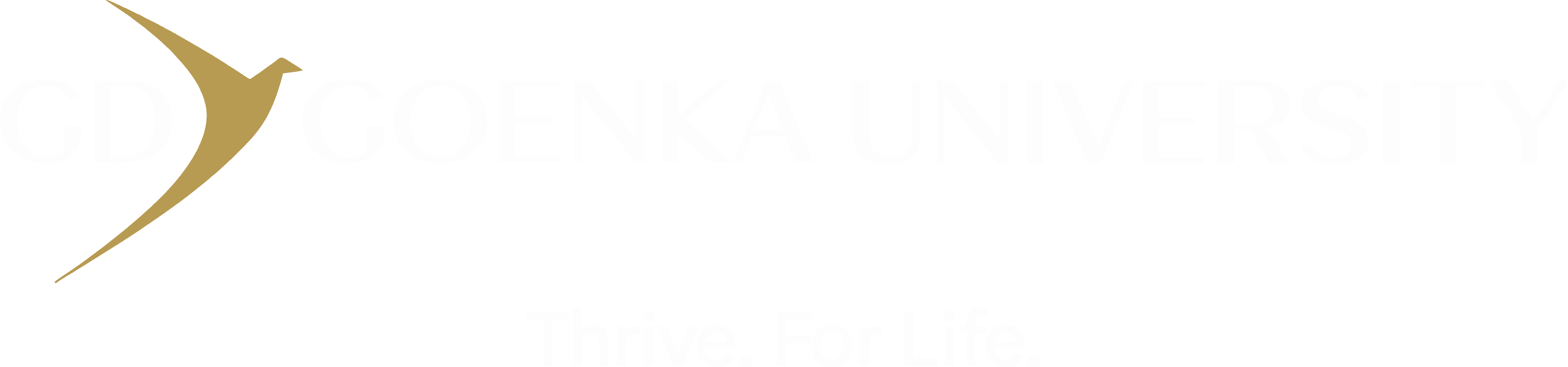 GD Goenka University